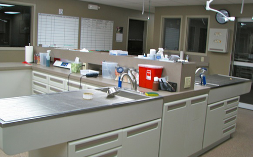 virtual-tour10